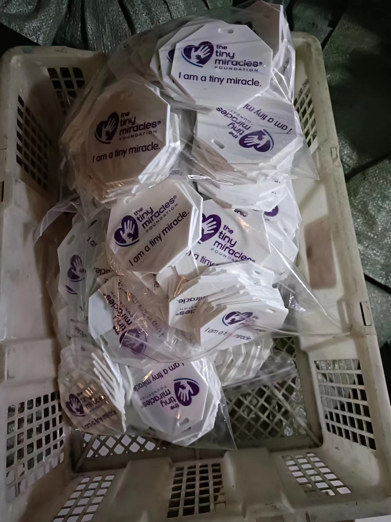 微信图片_20240331143816