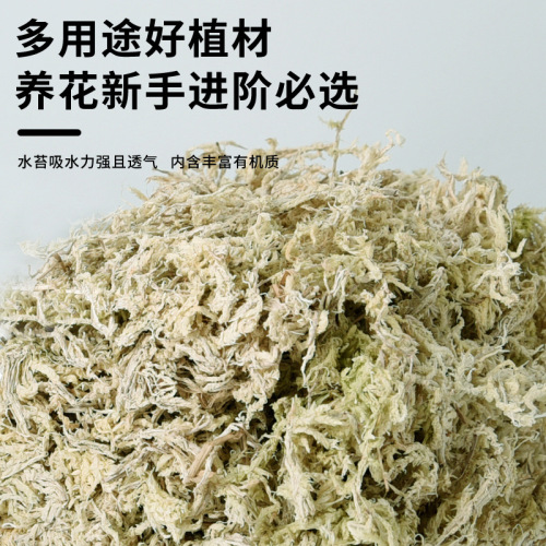 Dried Moss Orchid Butterfly Orchid Live Moss Orchid Stone Orchid Carnivorous Plant Specific Soil