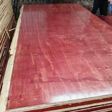 ���Bģ�幤������1.2��*2.4�׏S�����l�񱡾���ӿp�����ܝ{