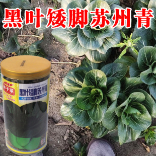 �����K����N��С��˷N���＾�߲˷N���ļ���С����߲˷N�����l