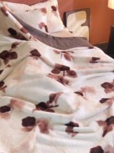 2026�¿�ͺ��ļ��ýq�w̺�๦��ë̺�ļ�̺�w̺̺��