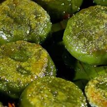 ���ϰ������F���~�������ڿͼ��خa�����������������ֹ����