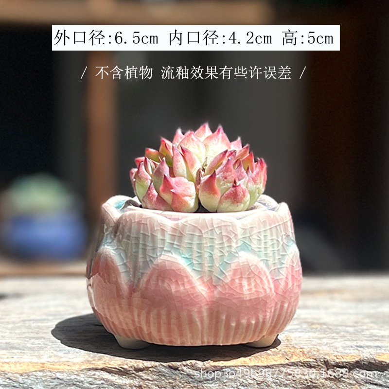 Little lotus with glazed mouth--pink