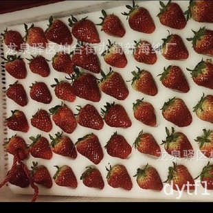 Strawberry Sponge Packaging / Turnover Strawberry Sponge Packaging / Bubble Wrap Strawberry Sponge Packaging / Buffer Strawberry Sponge