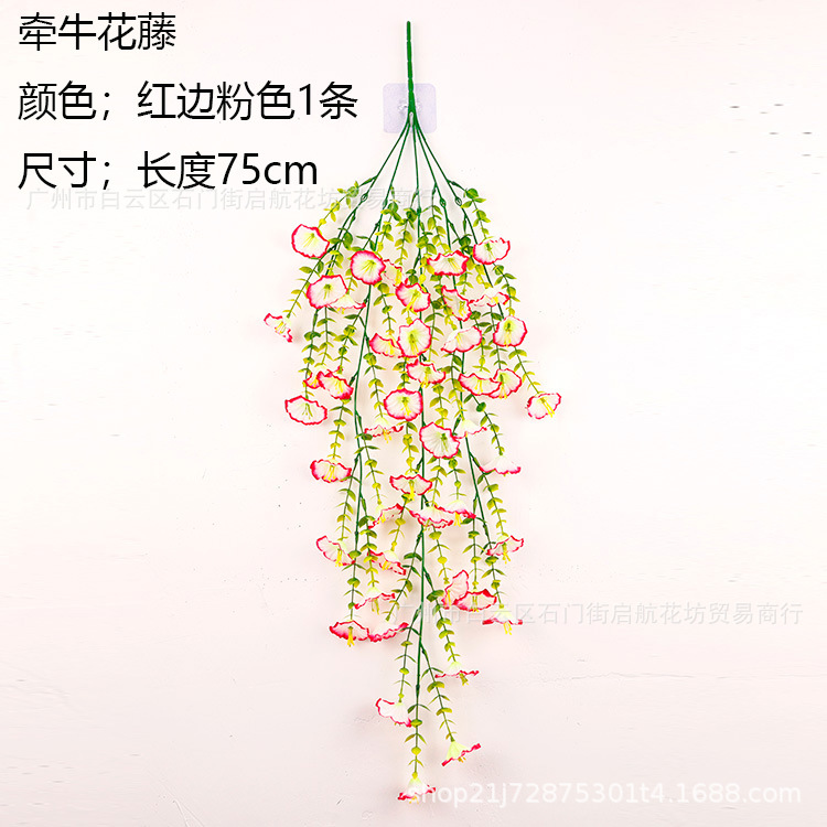 [레드 엣지 핑크 + 나팔꽃 등나무]