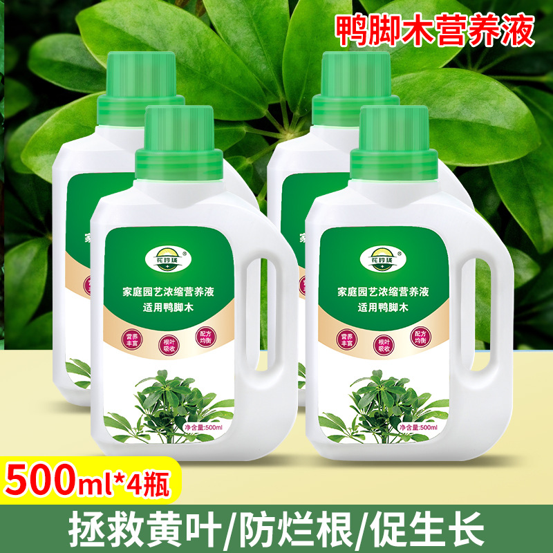 鸭脚木专用营养液500ml*4瓶