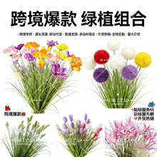 跨境代发仿真绿植晴天草格桑花郁金香芦苇小草小兔尾毛毛虫小圆球