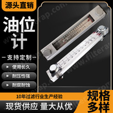 油位计麦克磁翻板液位计投入式液位变送器厂家供应油温油位计