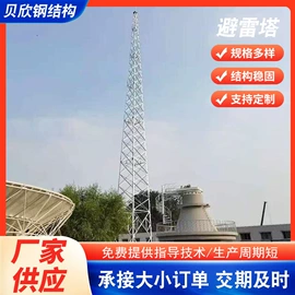 钢结构;其他防雷设备