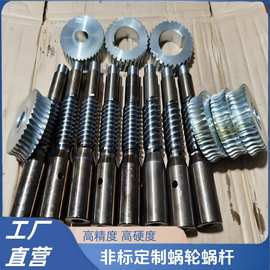 工厂加工大小模数精密蜗轮蜗杆五金涡轮蜗杆耐磨铜蜗轮传动装置