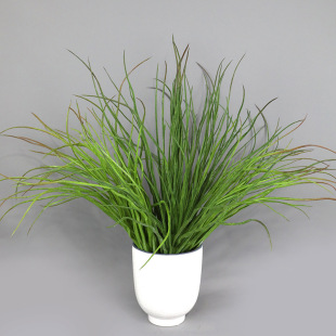 ����՚���P�� ����Gֲˮ������ ���W�Ҿ��b����쾰ֲ��ٻ�