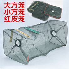 �O�o�r�\�r�W�W�O�W�з�a�~�W���r�Bֳ����~�o�\���q�\�W�~�o