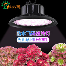 ȫ���Vֲ�����L����ˮ��̫��҃ȼ��ô��ﻨ�ܾGֲ�m�������a���
