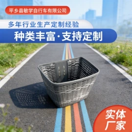 车篮;自行车装饰;车架
