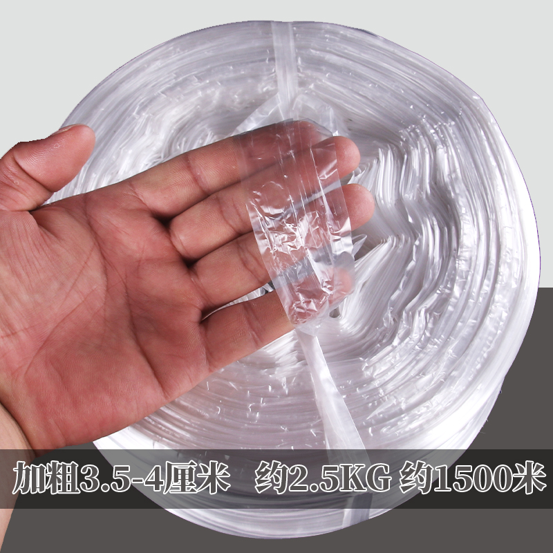 대담한 흰색 롤(인기 판매)