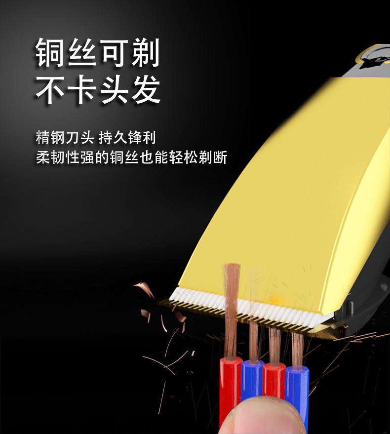 8f2f73cc-eb9b-4311-a496-5f4669c31fdd.jpe