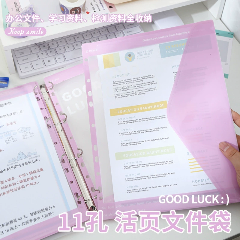 Folder, storage bag for students for folders, tear-off sheet