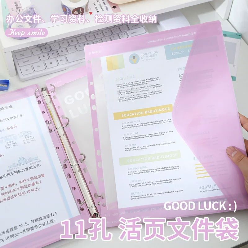 Folder, storage bag for students for folders, tear-off sheet