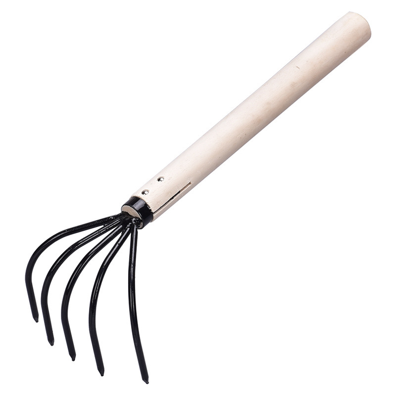 11329507607_609782515