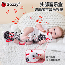 ��Sozzy����0-1�q���R��ëë�x���߳߱�������ë�q��ż������