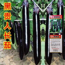 ���ӷN�Ӻ��L�ѷN�Ѵ��＾�̨�����߲˷N���ļ��������ѷN�˷N��