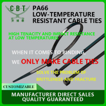 Դ^Sֱl40濹IPA66͵͜늾