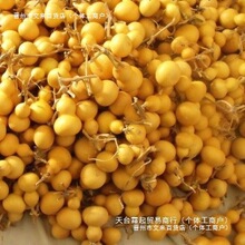 С���J��������Ʒ���������J�����Ƥ�F�������Ұ�����^���J��Ȼ