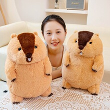 �羳����ë�q��߹��пɐ���ż�����޿�ͨ���ꃺͯ���նY�﹫��