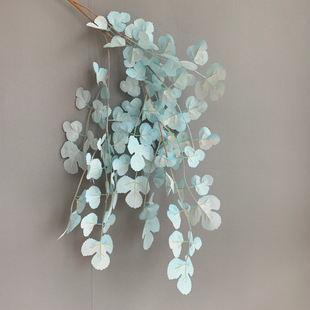 薔薇綠色圖片 海量高清薔薇綠色圖片大全 阿里巴巴