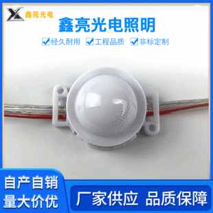 Xinliang Brand 5cm Milk White Shell Led Light Source Summer Lighting Led Pixel Light Led Light Source Spi