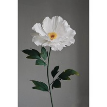 白色洋牡丹摄影假花拍照橱窗商场装饰道具大型仿真花白色型纸艺花