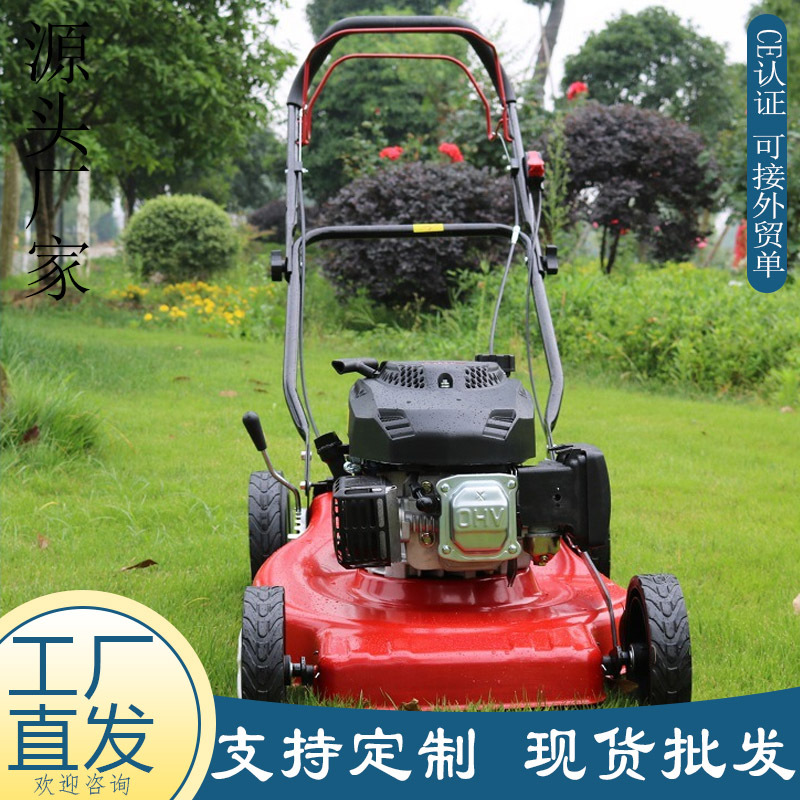 厂家直供四冲程手推草坪机 汽油款带收草袋轮式割草机 农场剪草机
