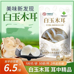 �|����ľ��100g���b�|������ľ���|��ľ���m�ϕ��N�Fُ������N�Y
