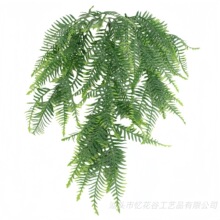 �羳����ֲ��ڒ첨˹�ٗl�ٻ������Ҿ��̵��b����ϻ����G�~���