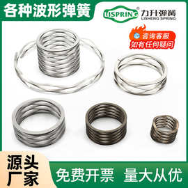 供应多种规格 多层波形弹簧  不锈钢波形弹簧 对顶波形弹簧