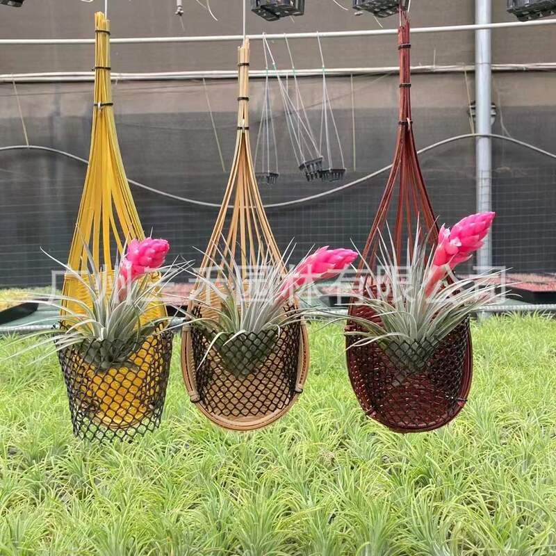 Thailand Handmade Bamboo Hanging Basket Bamboo Basket Hanging Basket Hanging Creative Home Multifunctional Woven Hanging Basket Diaolan