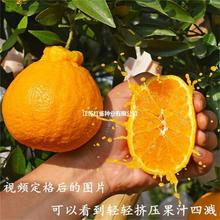 ���ٹ�����޽Ӳ�֪��������������������٘����˹ֽ�����