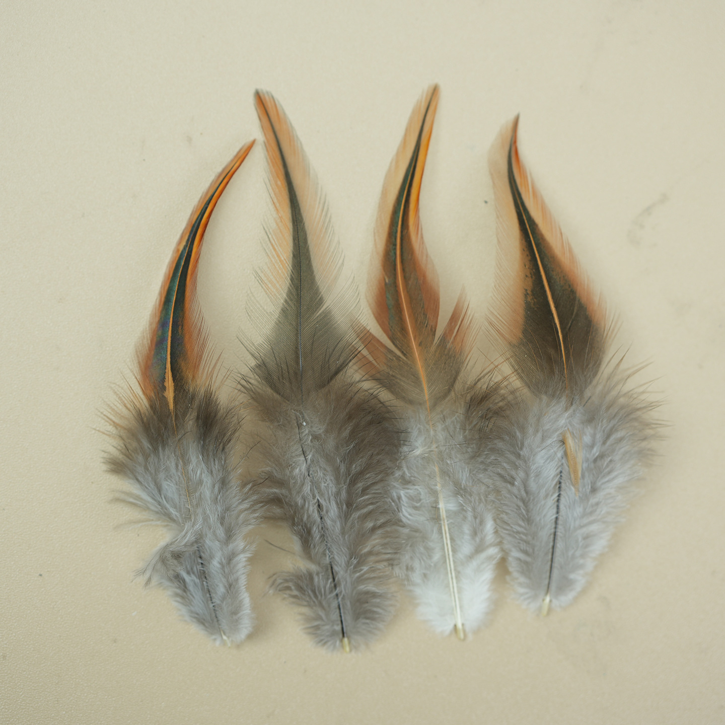 Plumas pequeñas al por mayor de plumas de faislo natural decorativas plumas artesanías bricolaje materiales hechos a mano divertidos accesorios de joyería de palo de gato