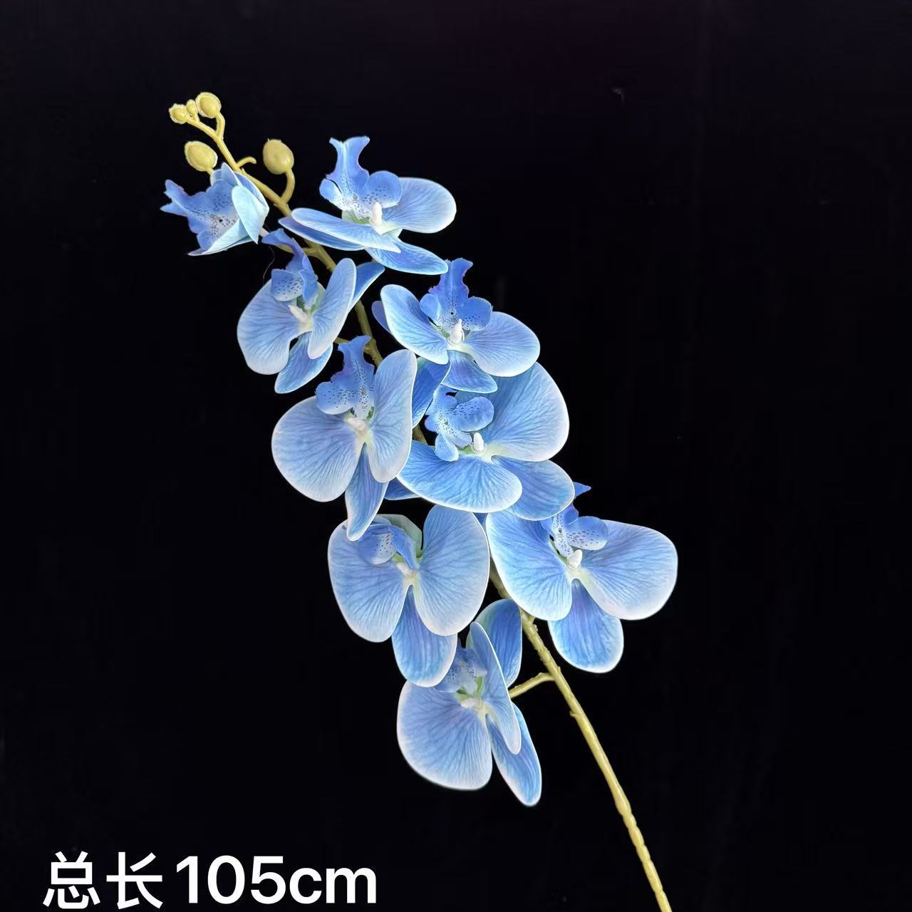 하늘색