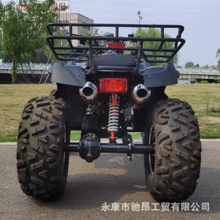 250cc вездеход на четырёх колесах для бездорожья, горный пляжный автомобиль, двухосный привод, аренда внедорожника