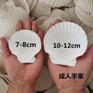 100Ƭ�b ������ɫ����ؐ�����l����ؐ�����İ뚤��ؐ�����ط۽z