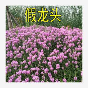 �����^��⏻��N�Ѽ����^����⏻��N�Ӳ��S������^֥�ļ��ݻ��N��