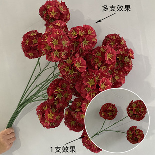 �tɫϵ���ķ��滨���Ż�·����ˇ�bٻ���Y�õ�픾Ƽtɫ�b�