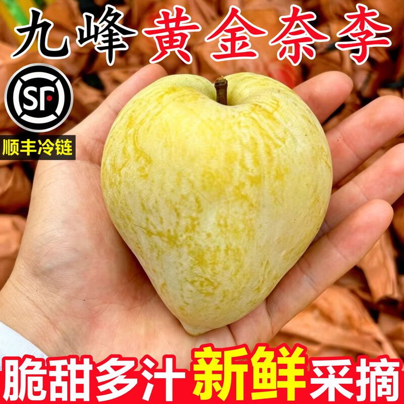 Authentic Shaoguan Jiufeng Golden Nai Plum Fresh 2.5kg Seasonal Honey-Sweet Seedless Plum Fruit for Pregnant Women Whole Box