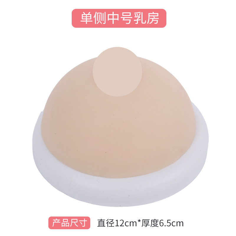 Ů���鷿ģ�� ����ʦ��ѵ���߲����ѧģ�� �轺���鷿 ҽѧ�̾�