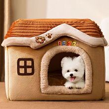 �ﶬ����ůè��ƬƬ�߷��ӳ�̨�׹���è���ļ�ͨ�ñ���̩�ϳ�����