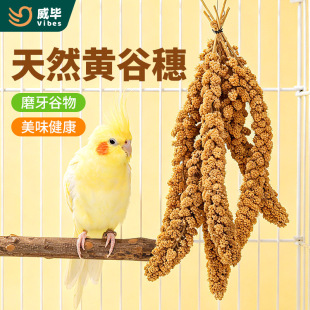 �W�^��ʳ���뻢Ƥ���Pĵ������Bʳ�B�ZӖ������ʳ��}����ʳ�F؛