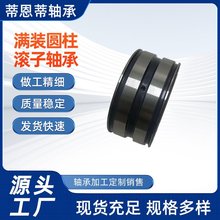 双列圆柱滚子轴承SL045028PP-2NRE5028NRNNF船舶曲轴滑轮主轴