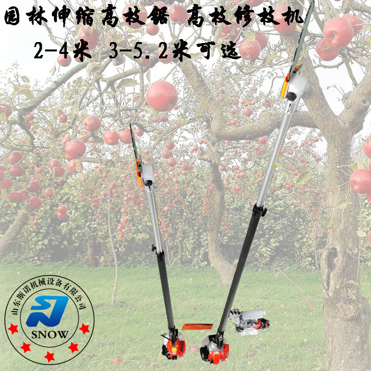 园艺伸缩加长型高枝油锯 大功率高枝修剪修枝锯 5.2米棕榈修剪机