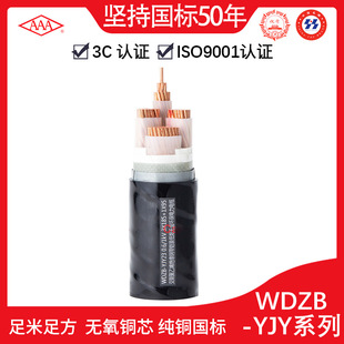 �V�|��|AAA��WDZB-YJY��̖�͟��o�u��ȼ�~о늾�0.6/1kV�S�����l